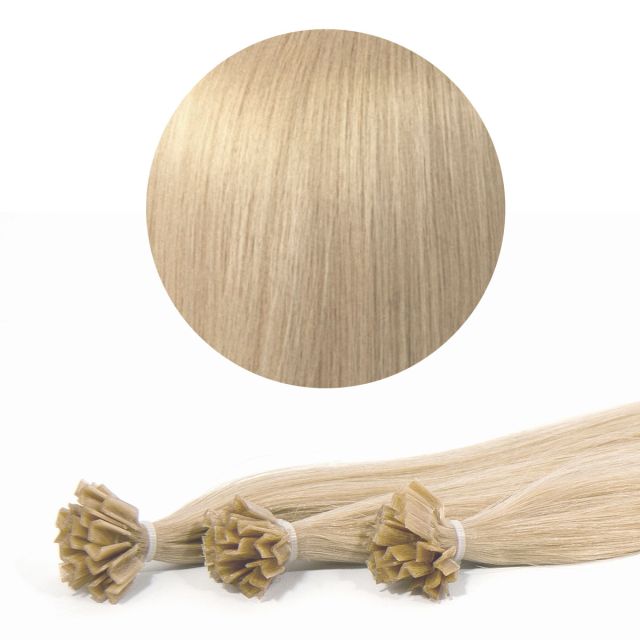 Sinettipidennys Premium 50cm 25kpl 12N#