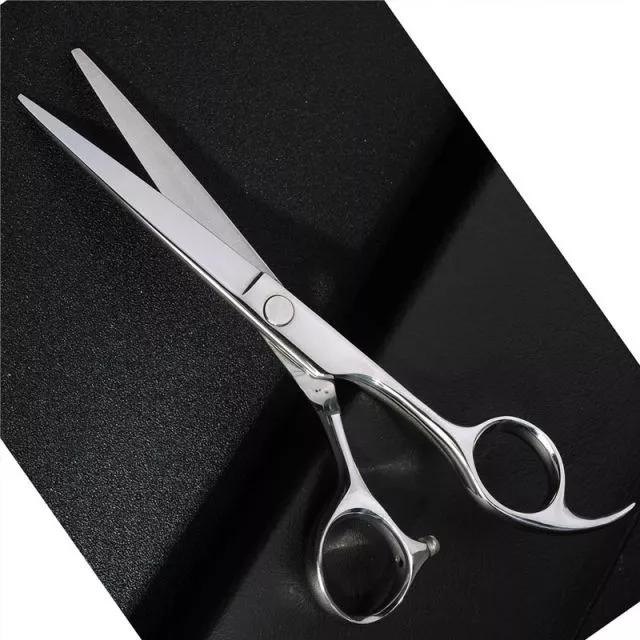 Ammattilaisen hiustenleikkuusakset 6.0” – 4CR-teräs, 59HRC kovuus, Silver